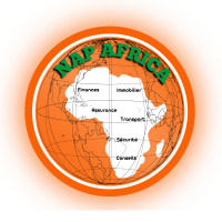NAP AFRICA HOLDING