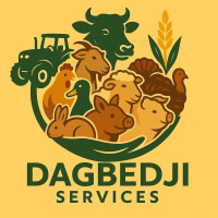 DAGBEDJI SERVICES