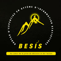 BUREAU D'EXPERTISE EN SYSTEME D'INFORMATION STATISTIQUE (BESIS)