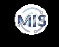 MIS INFORMATIQUE