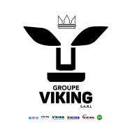 GROUPE VIKING SARL