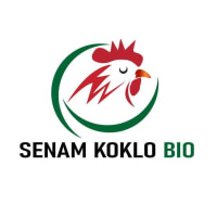 SENAM KOKLO ELEVAGE