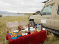 CLASSIC JOURNEYS TANZANIA