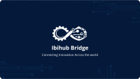 IBIHUB BRIDGE