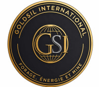GOLDSIL INTERNATIONAL
