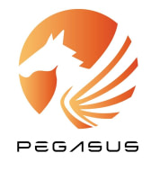 PEGASUS ELEVATION