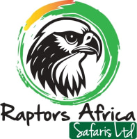 RAPTORS AFRICA SAFARIS