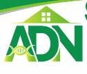 ADN