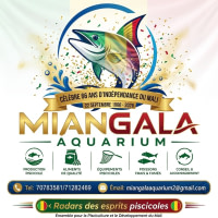 MIANGALA-AQUARIUM