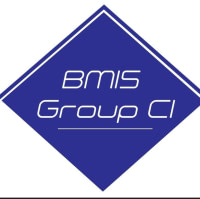 BMIS GROUP-CI
