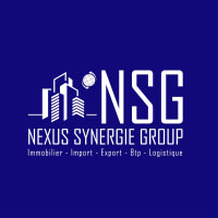 NEXUS SYNERGIE GROUP