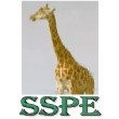 SSPE (SOCIETE DE SURVEILLANCE PROTECTION ET ESCORTE)