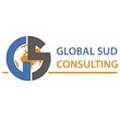 GLOBAL SUD CONSULTING