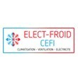 ELECT-FROID / CEFI