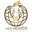 AILY NEGOCE INTERNATIONAL GROUP SARL