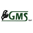 GMS SARL (GLOBAL MINING SERVICES SARL)