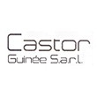CASTOR GUINEE SARL