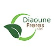 DIAOUNE ET FRERES SARL