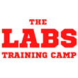 THE LABS TRAINNING CAMP