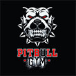 PITBULL GYM