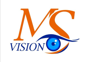 MS VISION