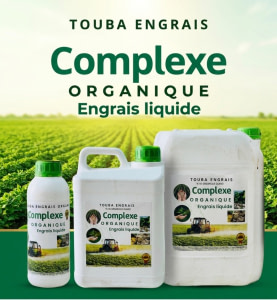 TOUBA ENGRAIS