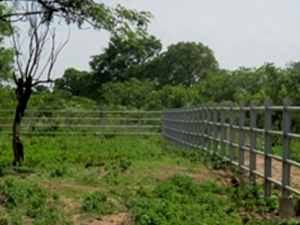 Parc animalier à Ouangolodougou