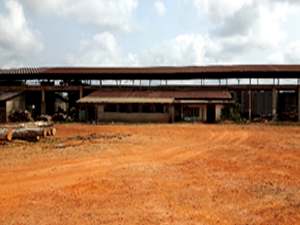 Scierie du Fromager à Gagnoa