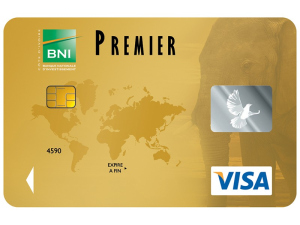 BNI Premier