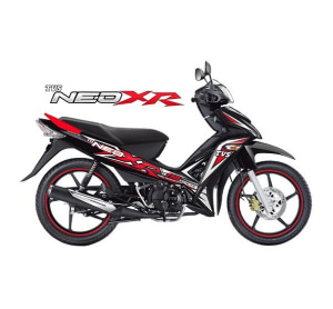 Moto style TVS NeoXR 110