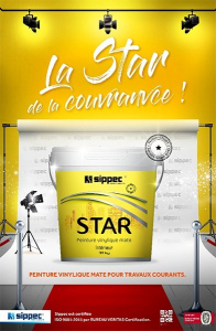 Peinture star