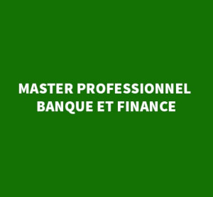 MASTER PROFESSIONNEL – BANQUE ET FINANCE