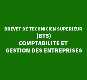 BREVET DE TECHNICIEN SUPERIEUR (BTS) – COMPTABILITE ET GESTION DES ENTREPRISES