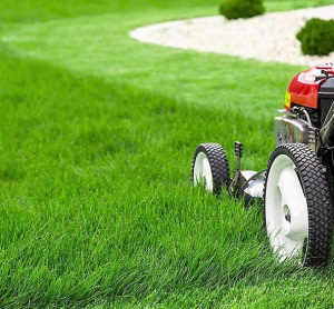 Entretien d’espaces verts