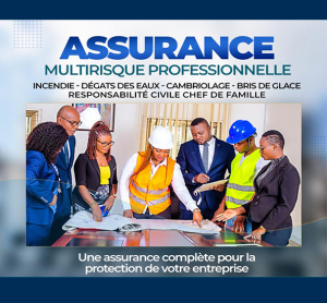 ASSURANCE MULTIRISQUES PROFESSIONNELLE