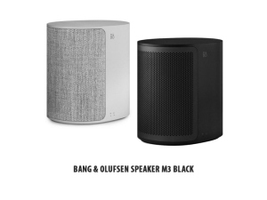 Gamme iPad / Bang & Olufsen Speaker M3 Natural