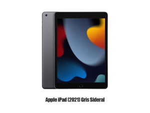 Gamme iPad / Apple iPad (2021) Gris Sideral