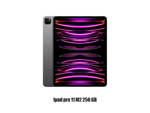 Gamme iPad / iPad Pro 11 M2 256 GB