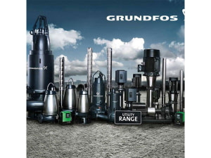 Fourniture de pompes immergées de forage et de surpresseurs (Grundfos, Aquastrong, Sea Land, pompe solaire Lorentz)