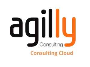 Consulting Cloud