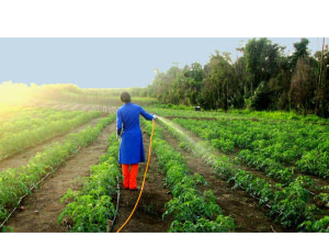 Agrobusiness