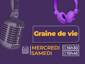 Graine de vérité