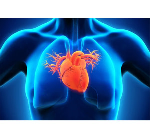 Cardiologie interventionnelle
