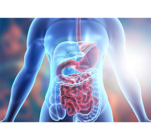 Chirurgie viscérale