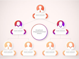 Audit structure organisationnelle