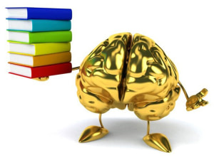 Propriété intellectuelle
