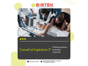 Conseil et ingénierie IT