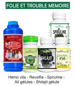 FOLIE ET TROUBLE MEMOIRE
