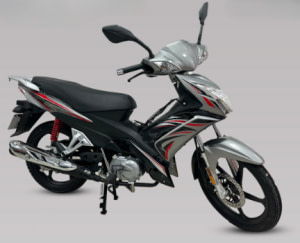 MEGA SPORTS 110cc