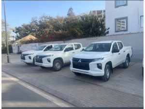 Pick-up professionnels